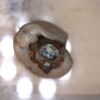 Serpierite Sclaignaeaux, Belgium