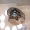 Serpierite Sclaignaeaux, Belgium
