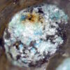 Serpierite