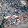 Goethite