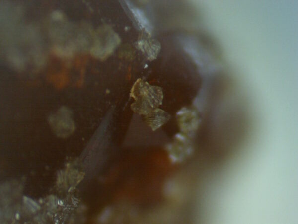 Strengite on quartz