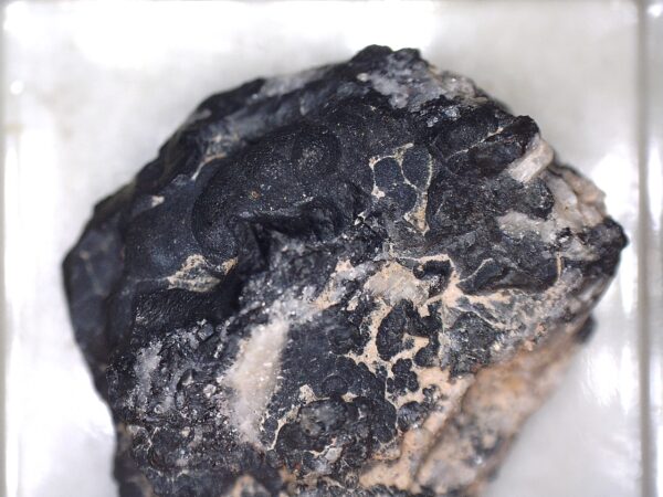 Pyrolusite and Quartz - Image 4