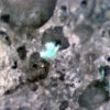 Serpierite