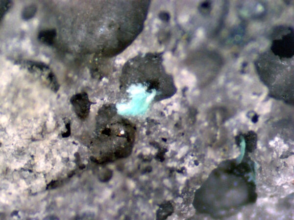 Serpierite