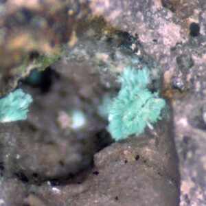 Serpierite