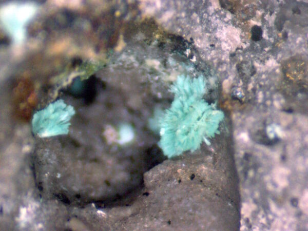 Serpierite