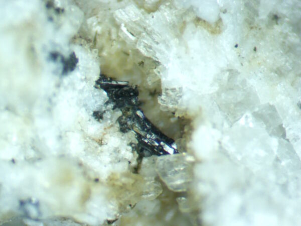 Zircon, Sanidine, Pyroxene