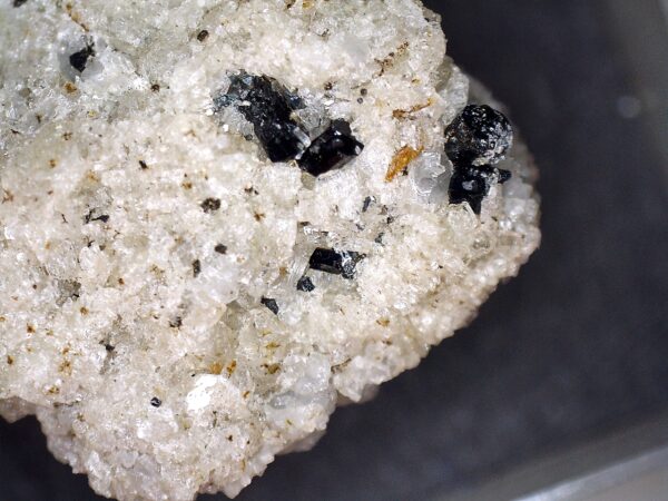 Magnetite, Amfibol, Sanidine, Titanite - Image 9