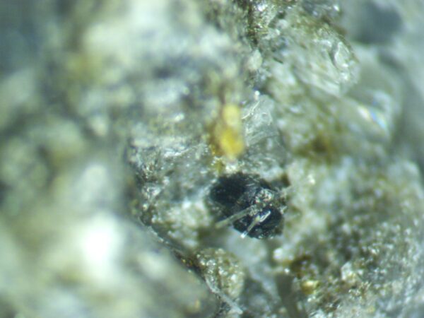 Apatite, Titanite - Image 5