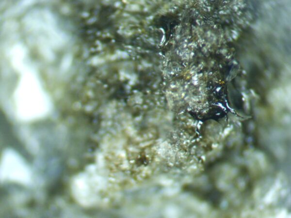 Apatite, Titanite - Image 4