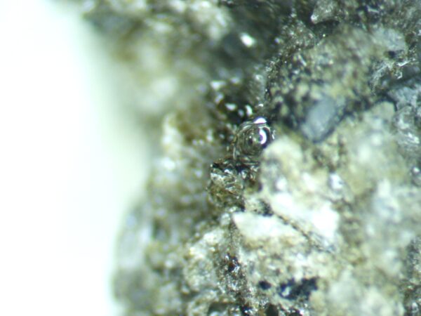 Apatite, Titanite