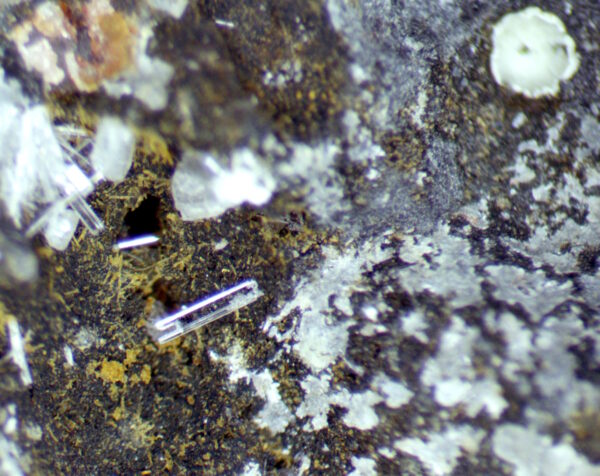 Paralaureonite, phosgenite