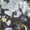 Paralaureonite, phosgenite