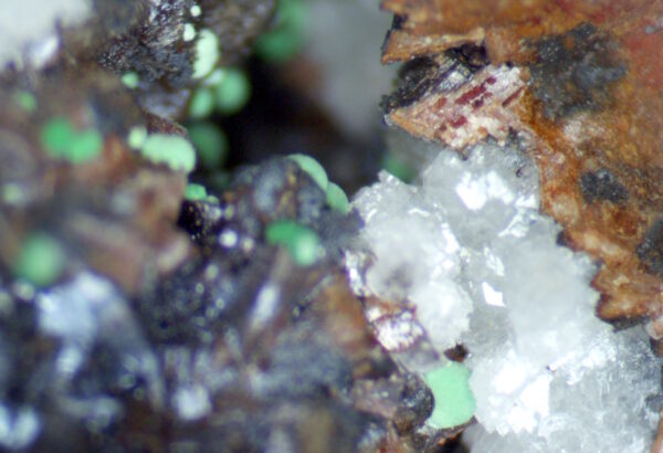 Ghoetite, ankerite, calcite, malachite - Image 6