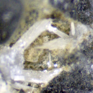 Hydrocerussite