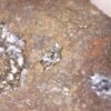 Calcite - Image 3