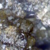 Andradite