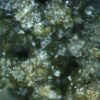 Andradite