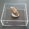 Molybdenite - Image 8