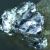 Molybdenite