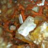 Baryte - Image 5