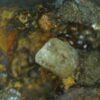 Baryte with goethite - Image 9