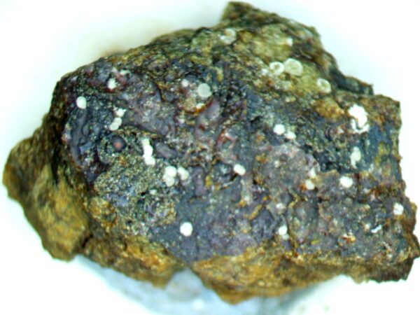 Carbonate-rich Fluorapatite - Image 2