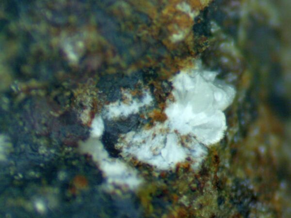 Carbonate-rich Fluorapatite - Image 9