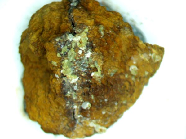 Calcioferrite, Carbonate-rich Fluorapatite - Image 9