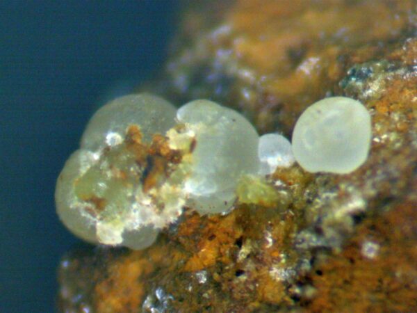 Calcioferrite and Fluorapatite