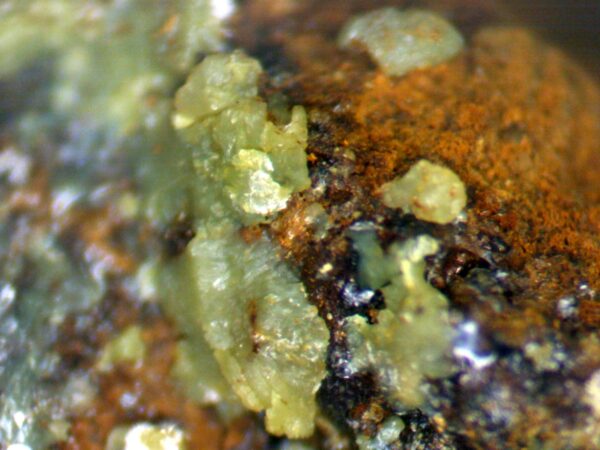 Calcioferrite and Fluorapatite