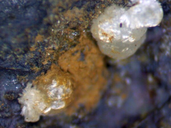 Carbonate-rich Fluorapatite - Image 8