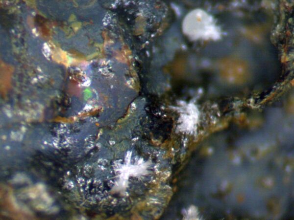 Carbonate-rich Fluorapatite - Image 3