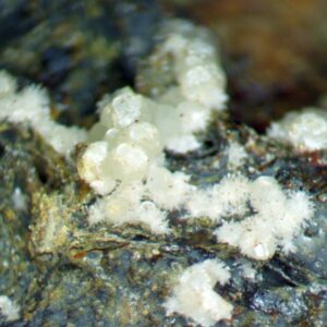 Carbonate-rich Fluorapatite