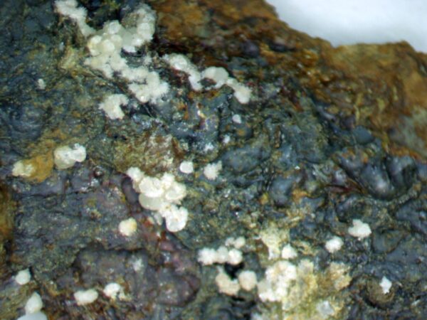 Carbonate-rich Fluorapatite