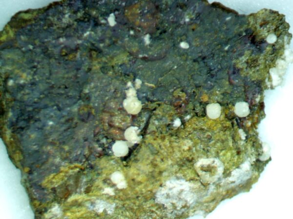 Carbonate-rich Fluorapatite - Image 10