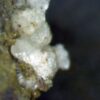 Carbonate-rich Fluorapatite