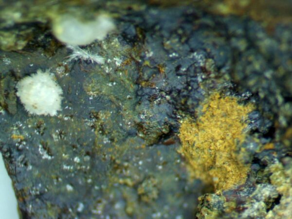 Carbonate-rich Fluorapatite