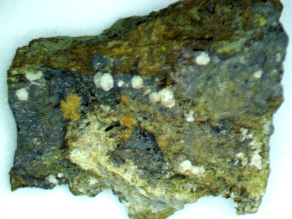 Carbonate-rich Fluorapatite, Natrojarosite - Image 4