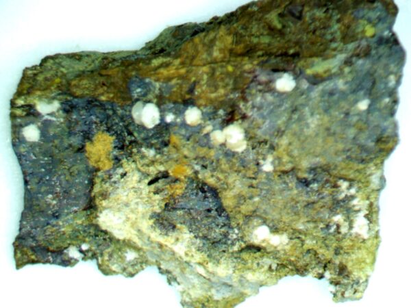 Carbonate-rich Fluorapatite, Natrojarosite - Image 2