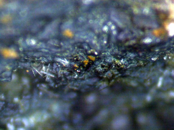 Carbonate-rich Fluorapatite - Image 6