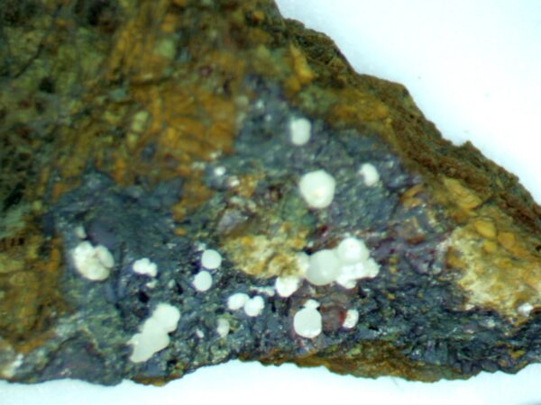 Carbonate-rich Fluorapatite - Image 2