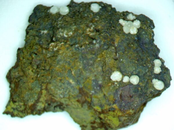 Carbonate-rich Fluorapatite - Image 2