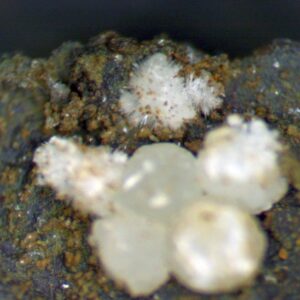 Carbonate-rich Fluorapatite