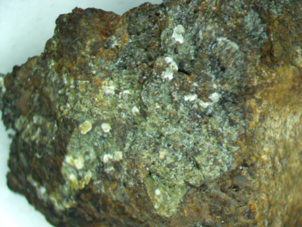 Carbonate-rich Fluorapatite - Image 2