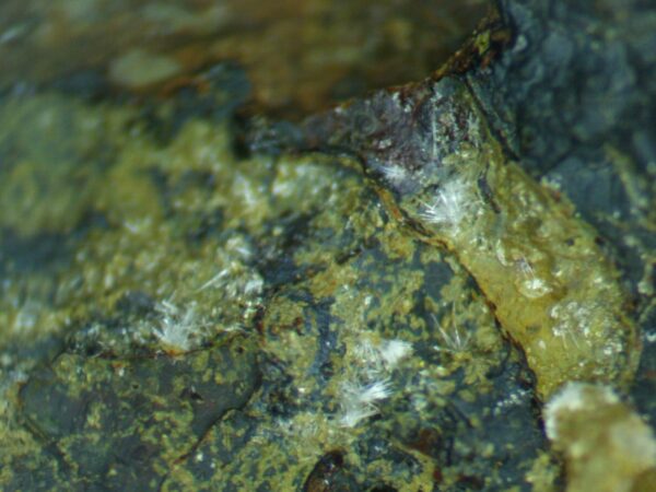 Carbonate-rich Fluorapatite - Image 7