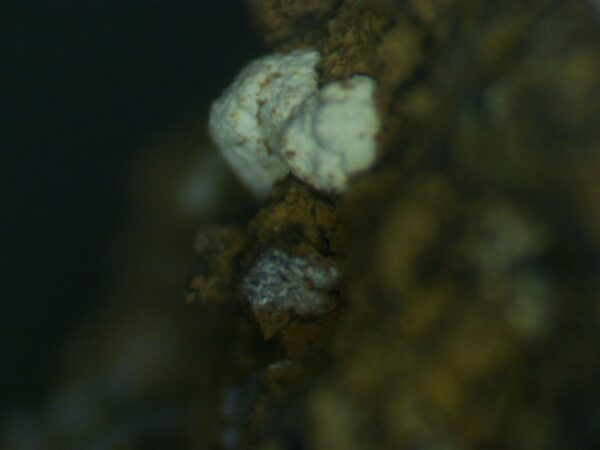 Aluminite (Not confirmed) - Image 7