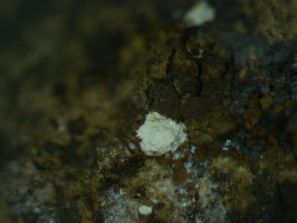 Aluminite (Not confirmed) - Image 4