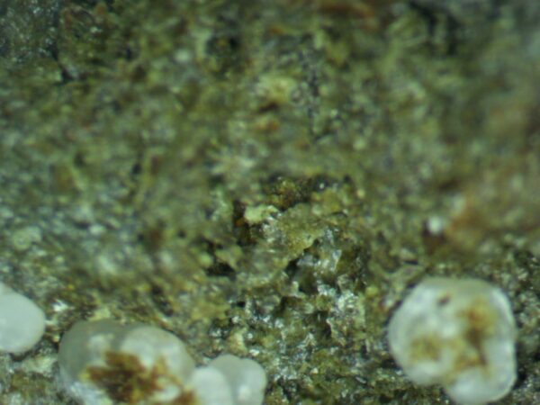 Calcioferrite, Carbonate-rich Fluorapatite - Image 8