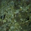 Calcioferrite, Carbonate-rich Fluorapatite - Image 7